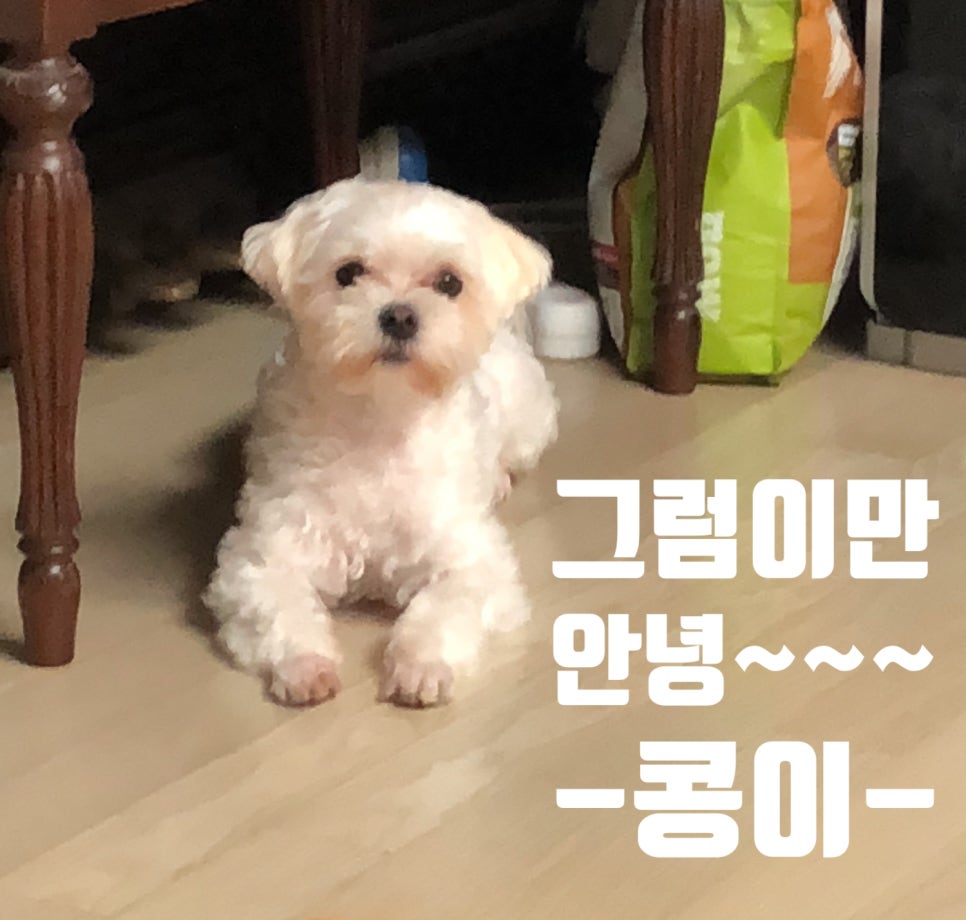 천돌축산 이미지