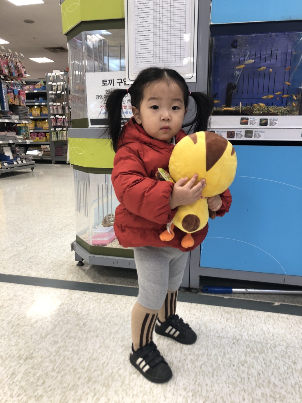 일이삼삼 이미지