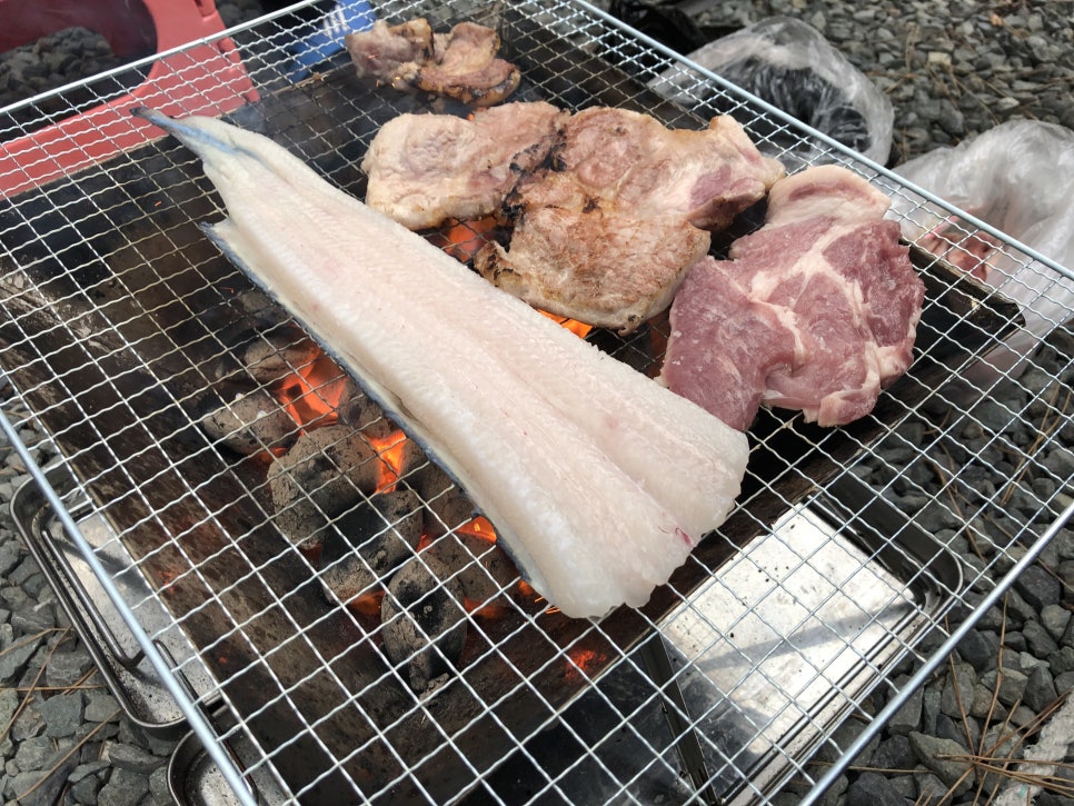 다은관광 이미지