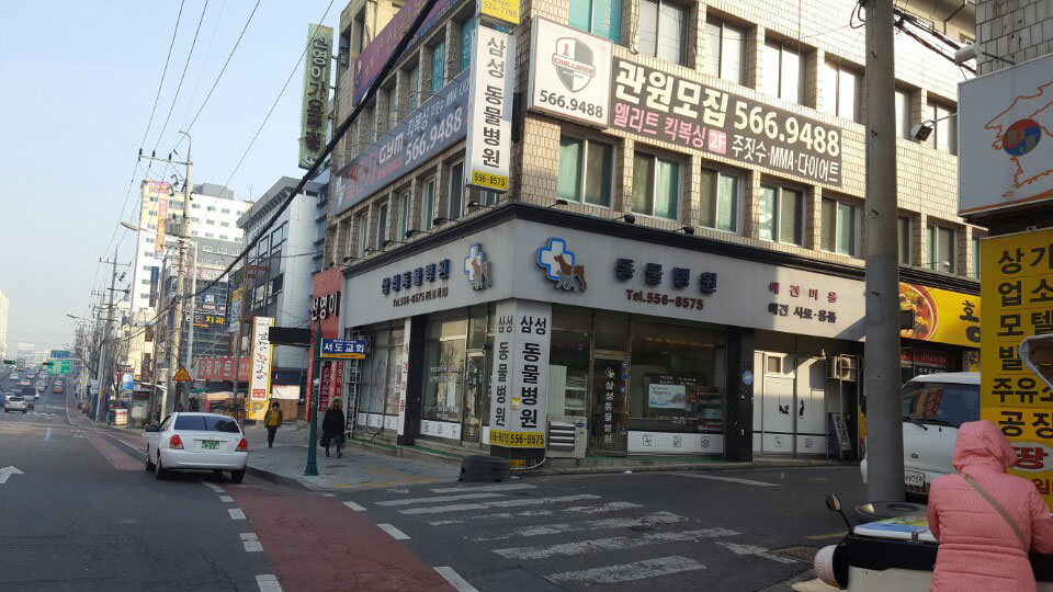 파로니아가구 이미지