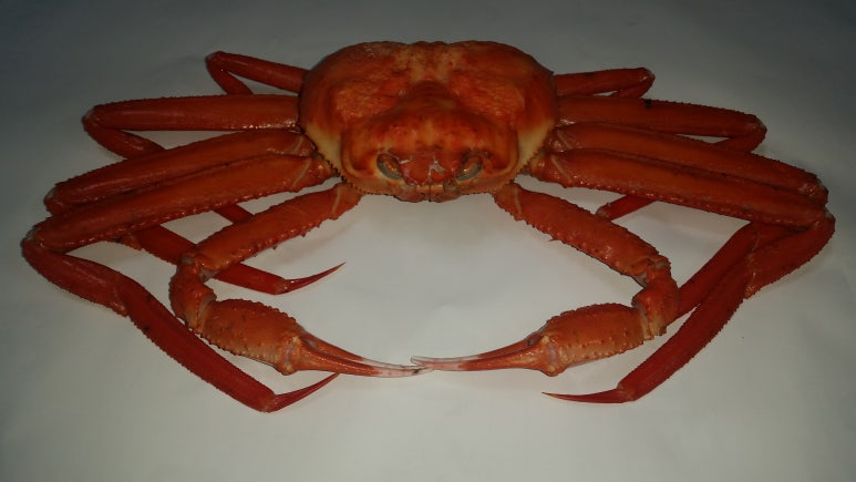 영덕특산물 이미지