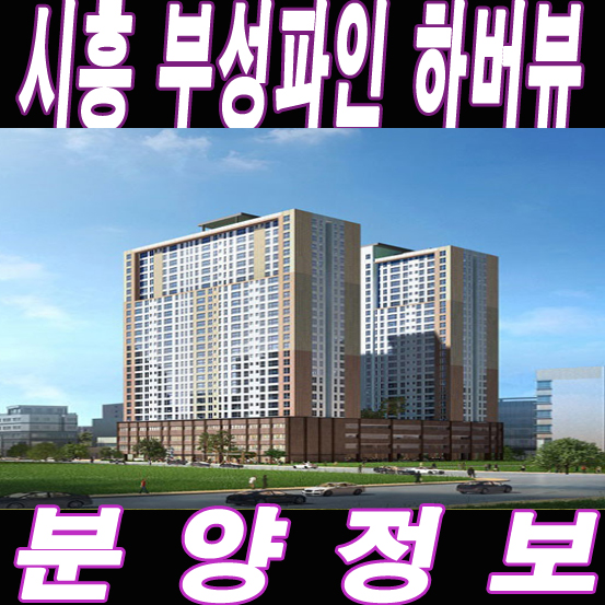 부성태양 이미지
