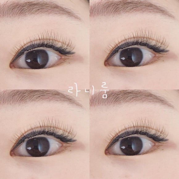 라니네일 이미지