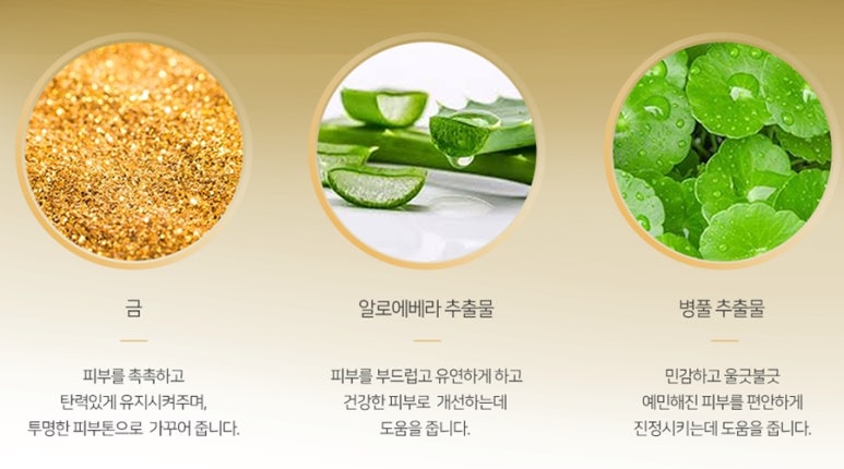 리헤브 이미지