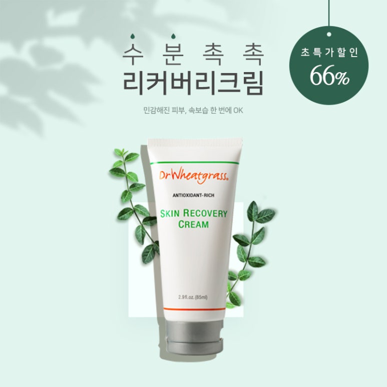 초특가유통 이미지