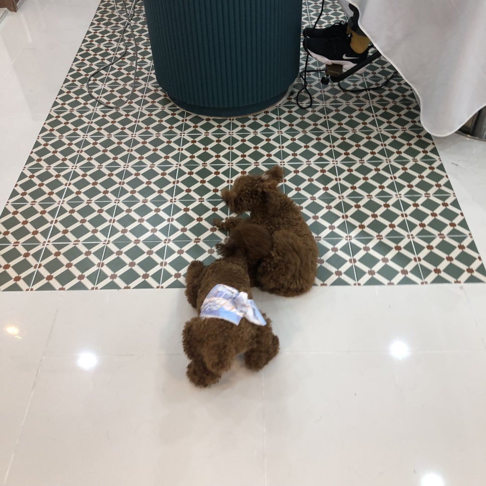 태자미용실 이미지