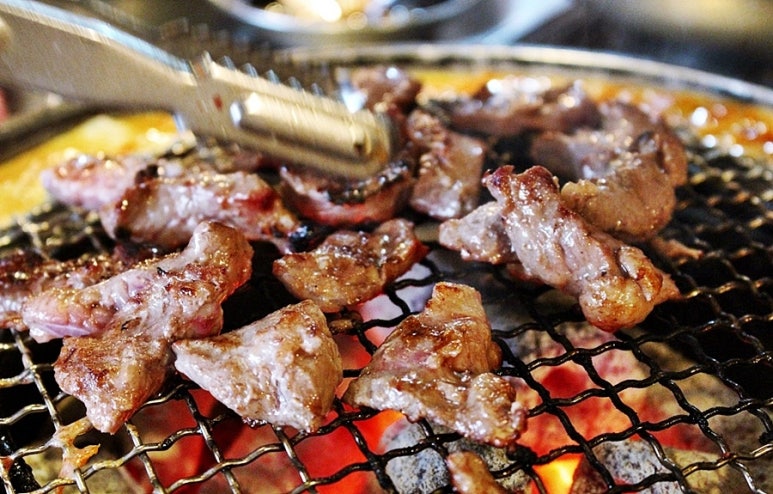신마포갈매기 이미지