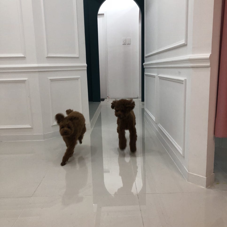 태자미용실 이미지