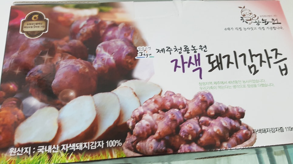 돼지만팔아요 이미지