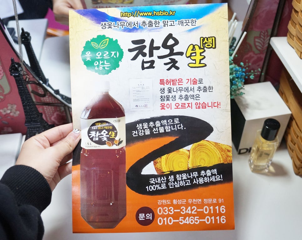 횡성참옻 이미지