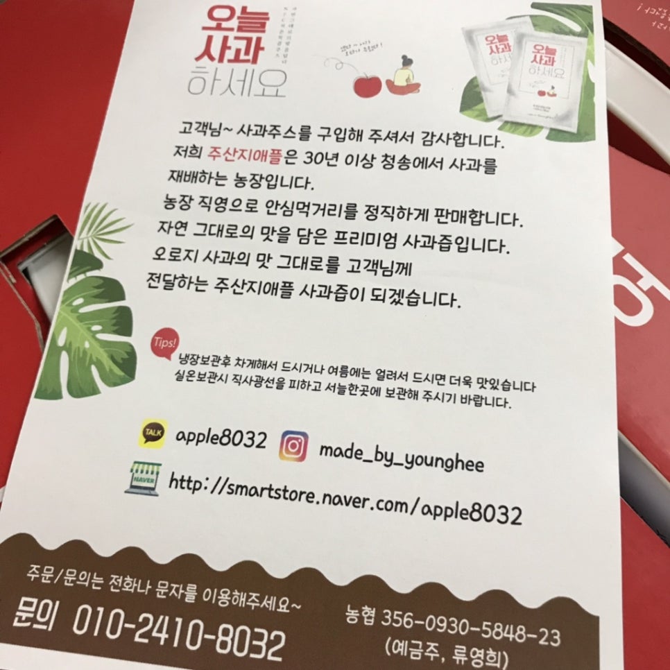 주산지애플 이미지