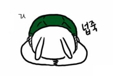 기능성신발 이미지