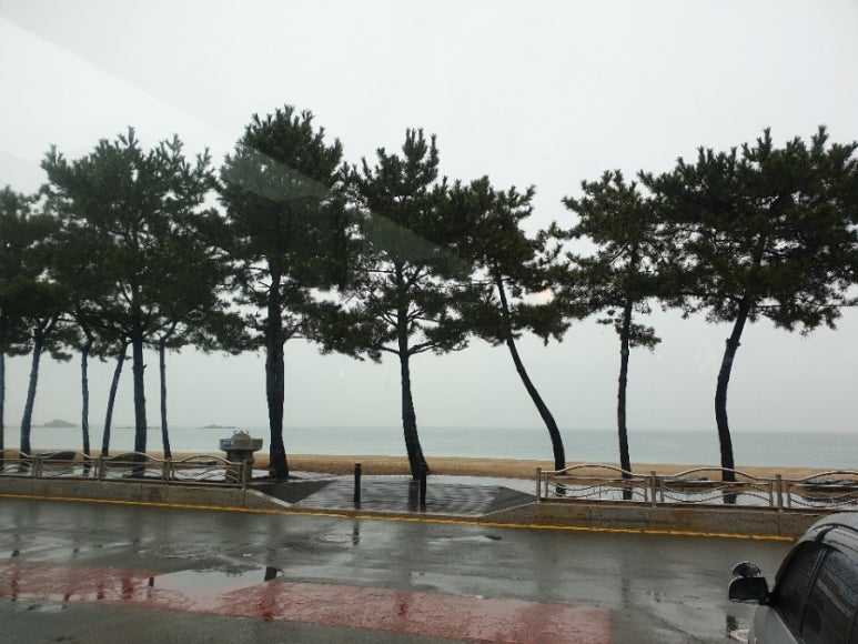 설보리 이미지