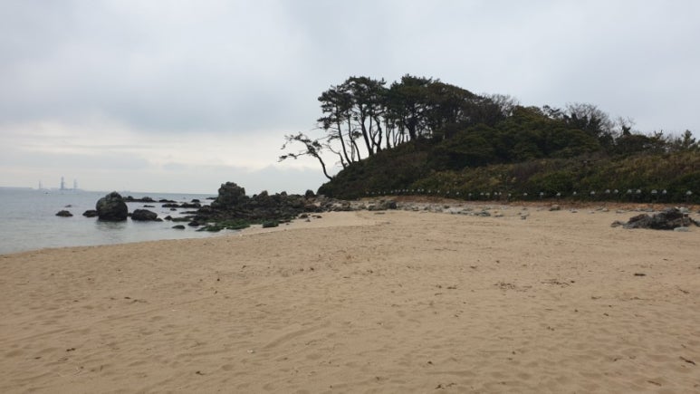 설보리 이미지