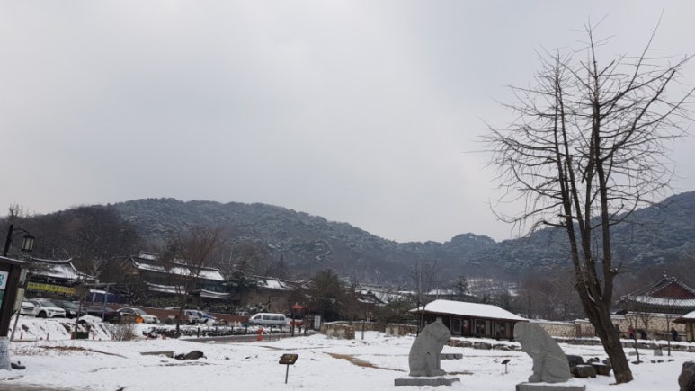 용궁칼국수샤브샤브 이미지