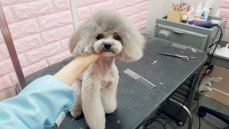 은자살롱 이미지