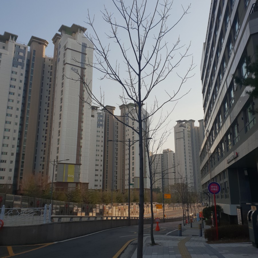 코스모스미용실 이미지