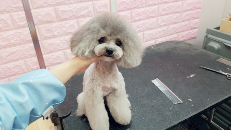 은자살롱 이미지
