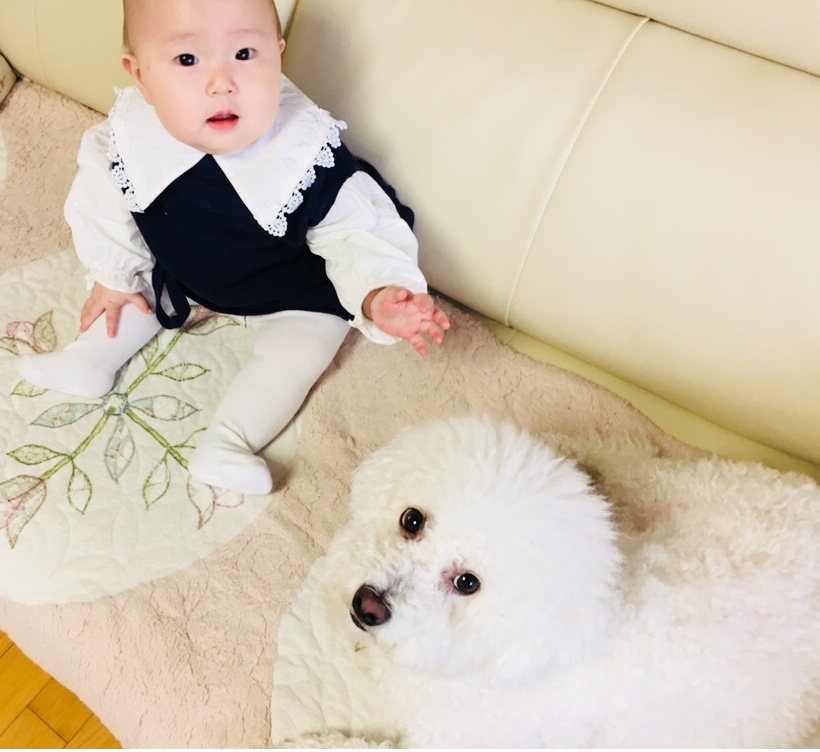 푸푸 이미지
