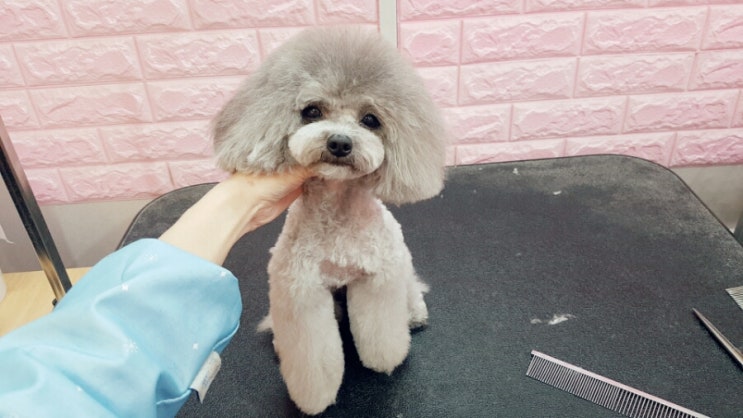 은자살롱 이미지