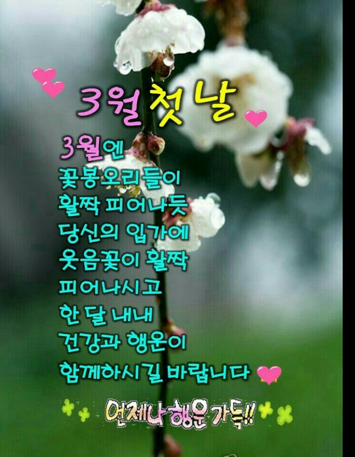 성림상사 이미지
