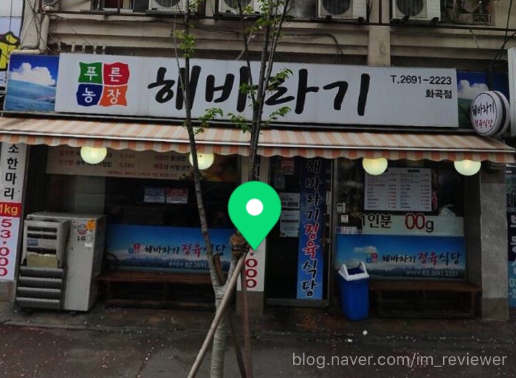 푸른농장해바라기 이미지