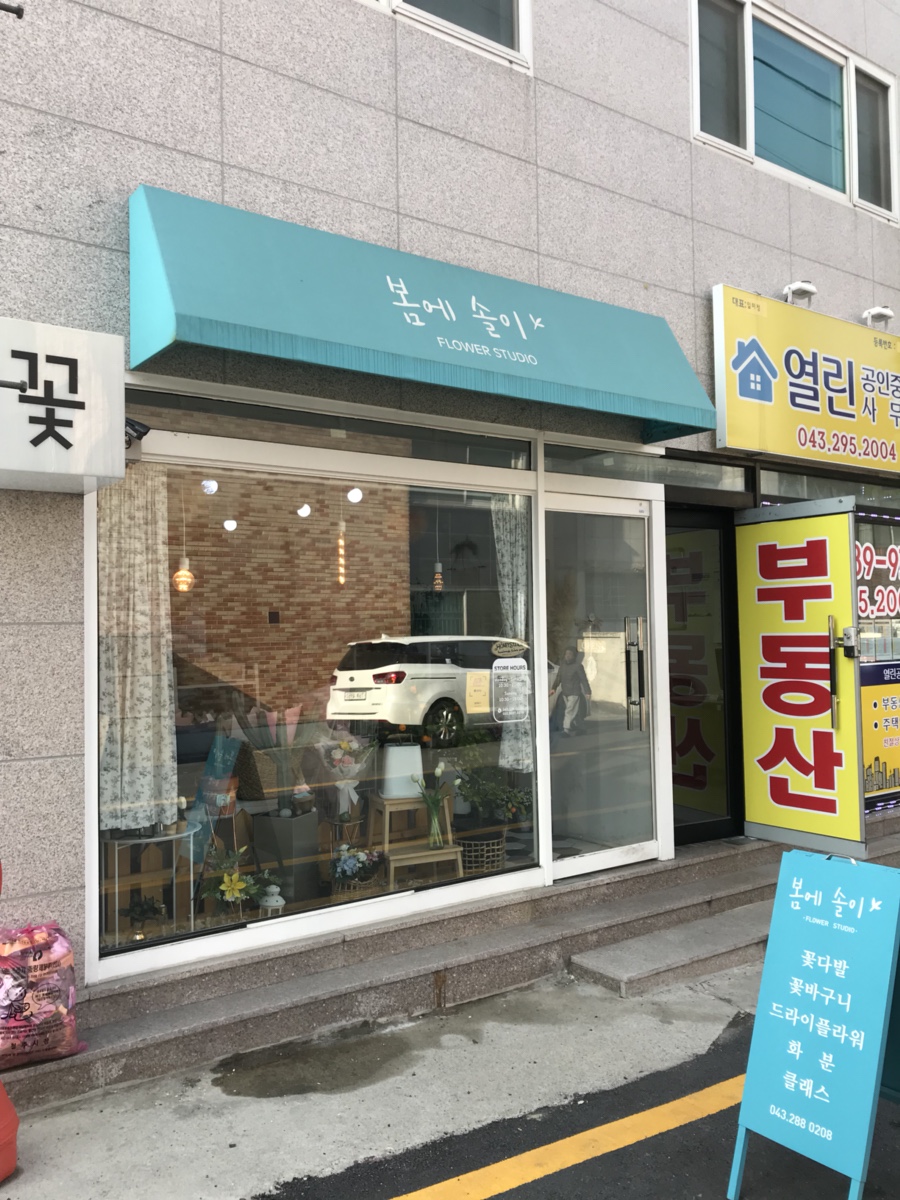 봄에솔이 이미지