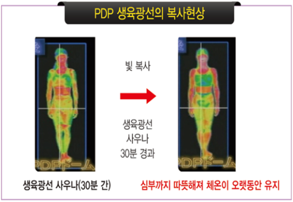 바이오포톤 이미지
