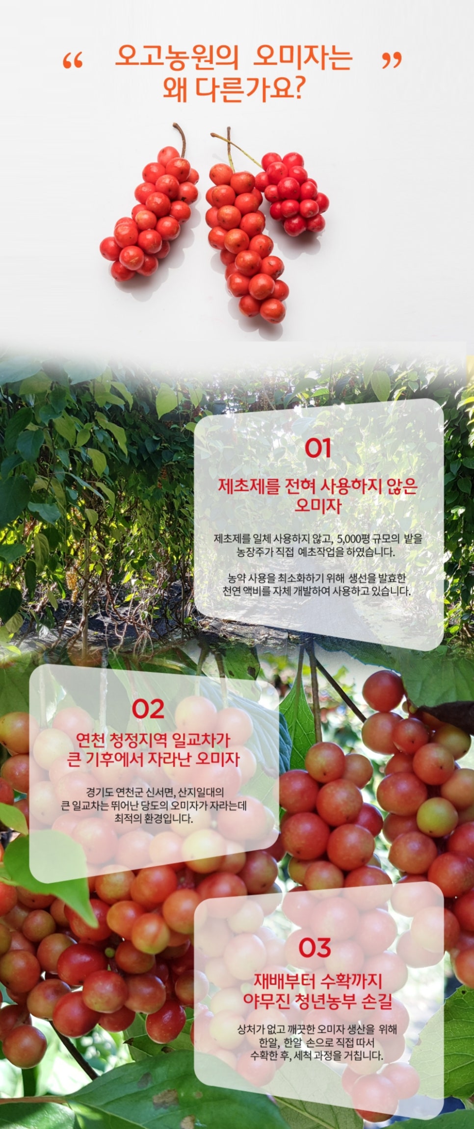 커피빈스(전곡점) 이미지