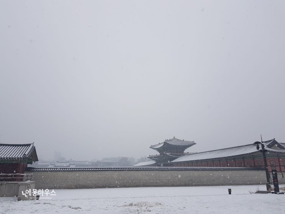 핑돼 이미지