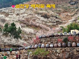 세명여행사 이미지