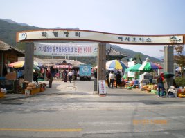 세명여행사 이미지