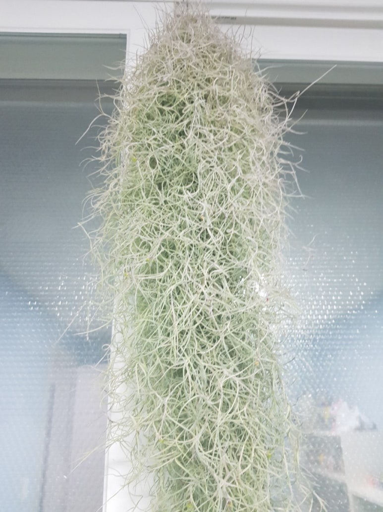조인폴리 이미지