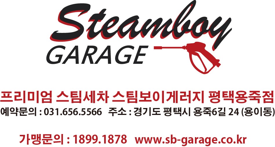 스팀게러지 이미지