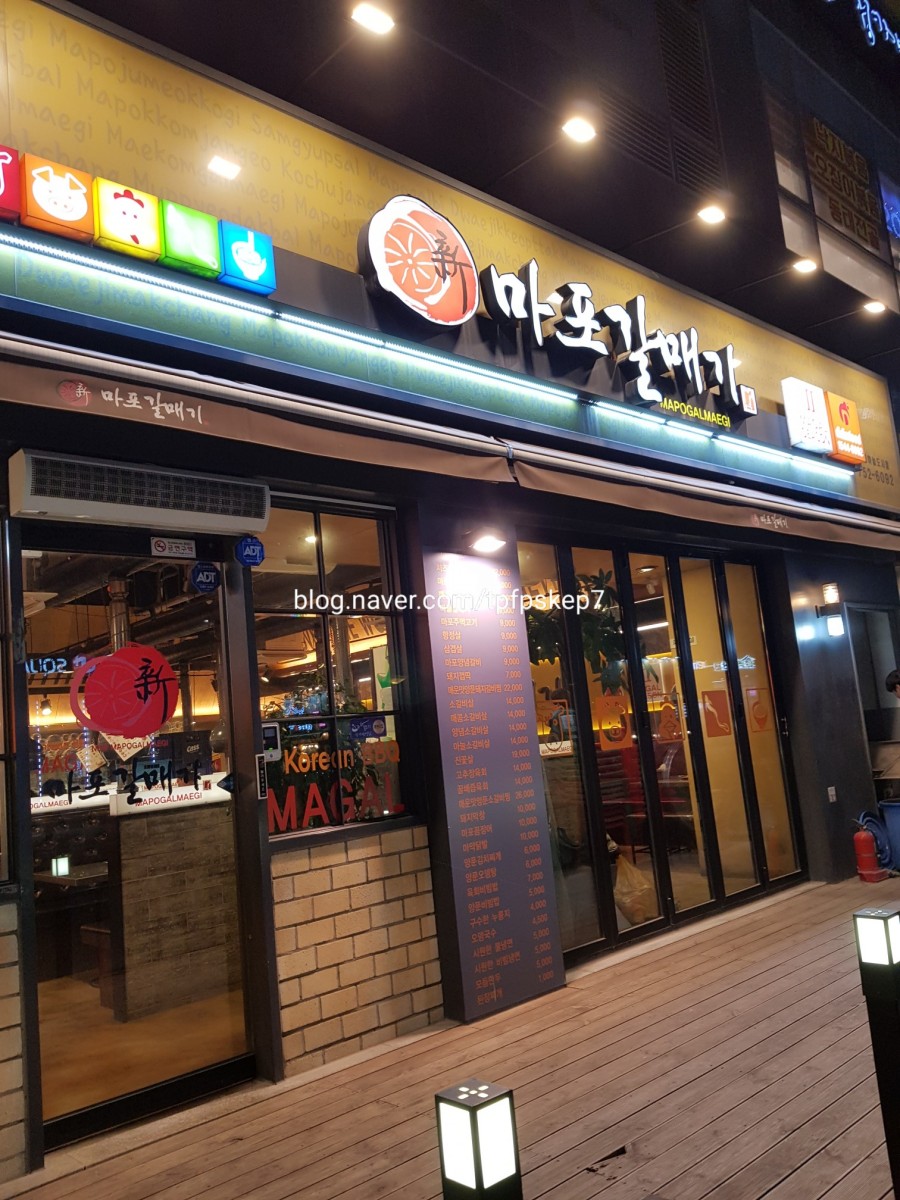 신마포갈매기영종 이미지