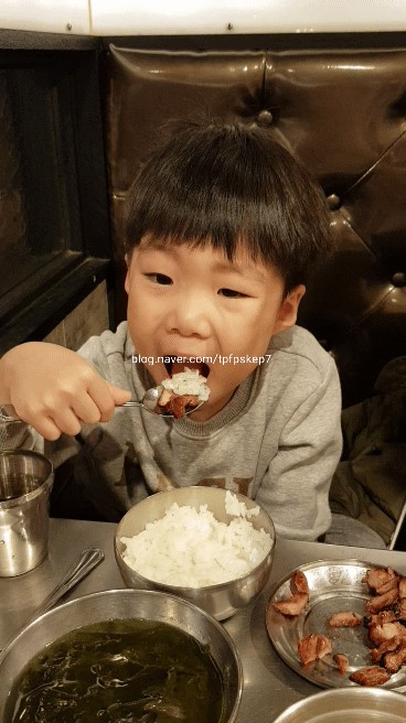 신마포갈매기영종 이미지