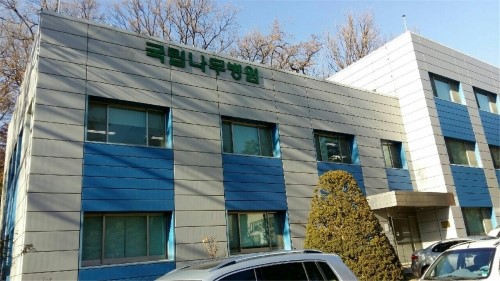 자연나무병원 이미지