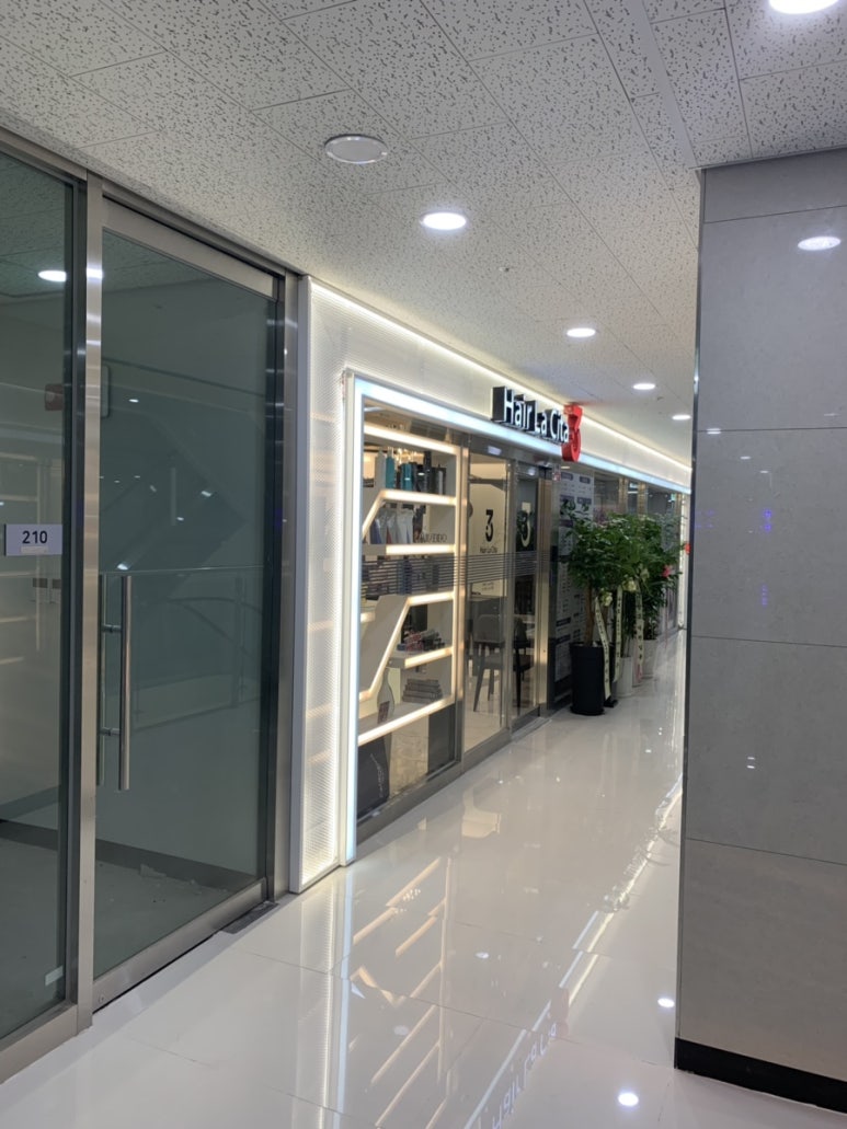 헤어라시타 이미지