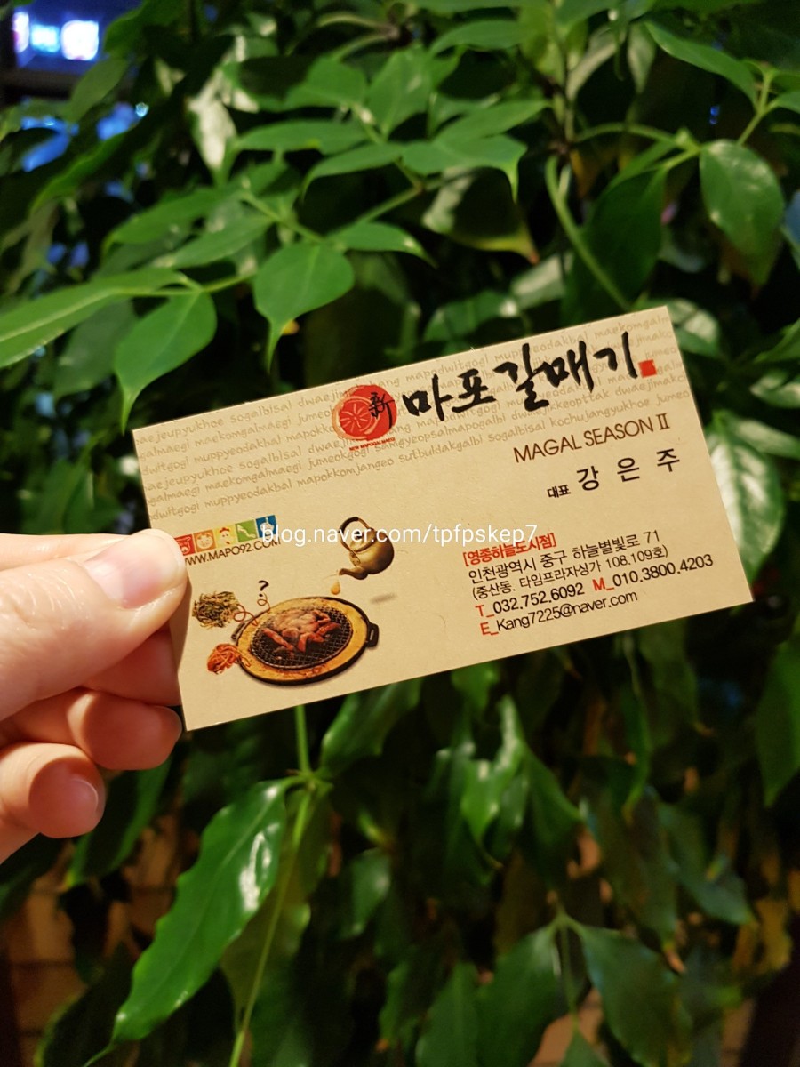 신마포갈매기영종 이미지