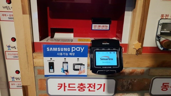 워시테리아 이미지