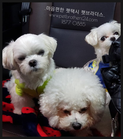 천동로또 이미지