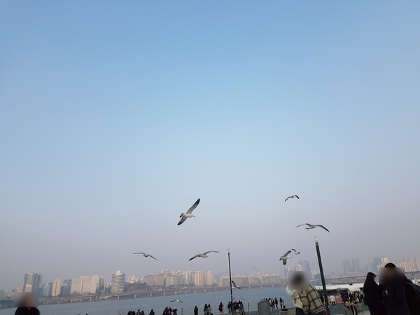 한강라면 이미지