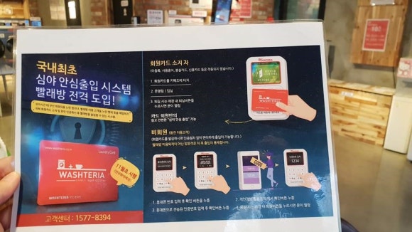 워시테리아 이미지