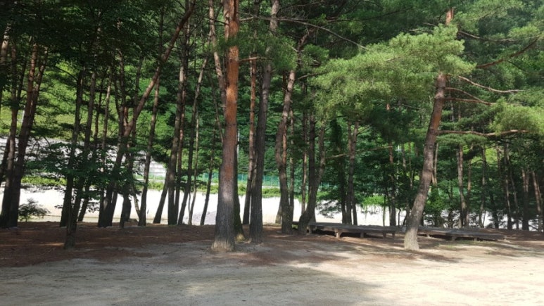 진부관광농원오대산 이미지
