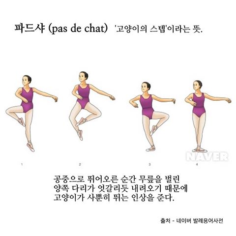 댄스아트라인 이미지