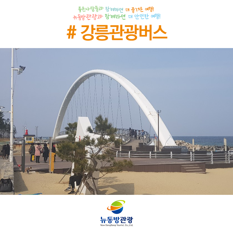 뉴동방관광 이미지