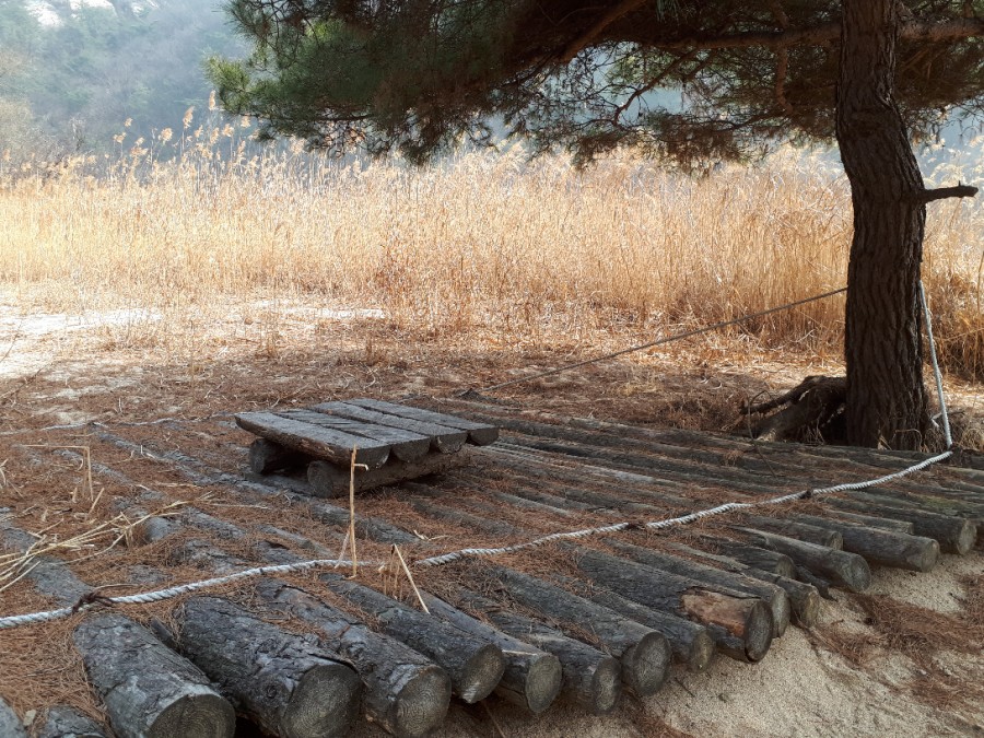 각시와신랑 이미지
