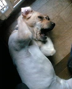 복식당 이미지