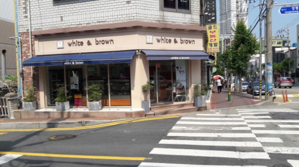 화이트브라운 장평점 이미지