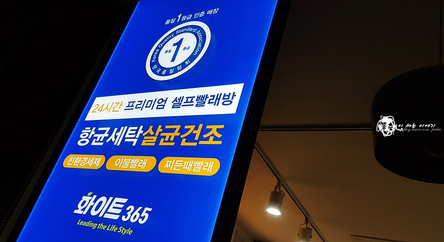 화이트365울산 이미지